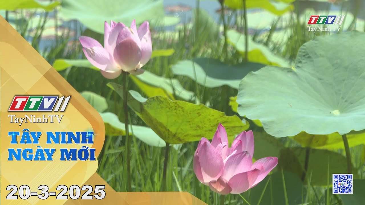 Tây Ninh ngày mới 20-3-2025 | Tin tức hôm nay