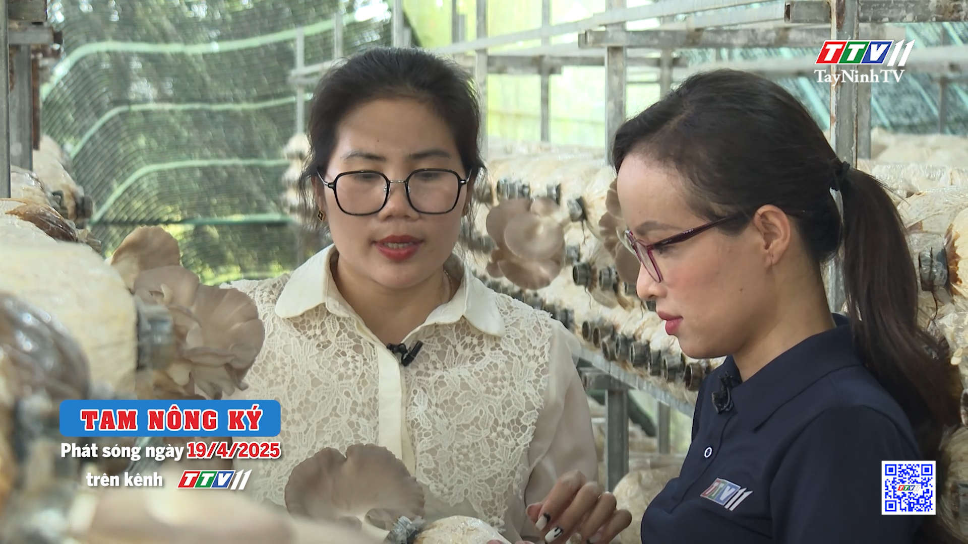 Trailer Chuyên mục Tam nông ký | Phát sóng 11G15, ngày 19/4/2025 | TayNinhTV