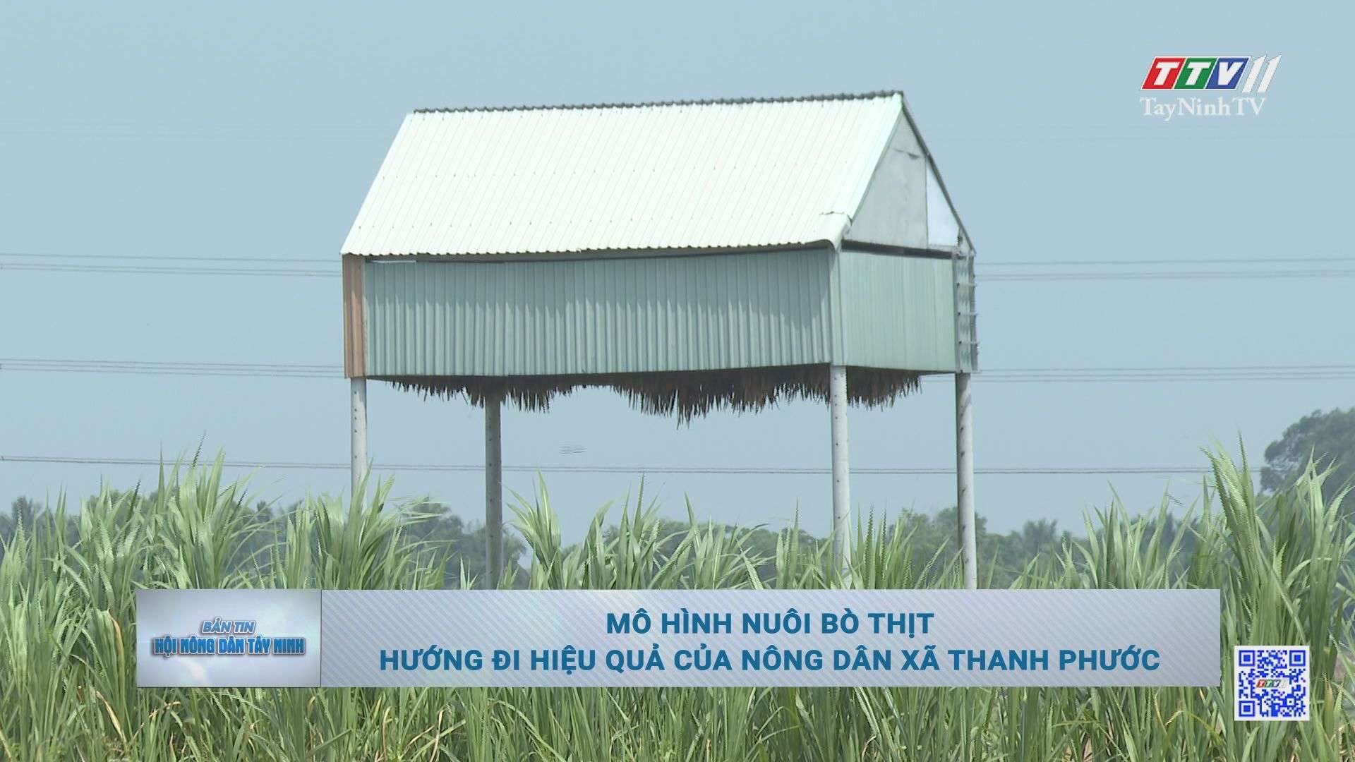 Bản tin Hội Nông dân 20-4-2025 | Tin tức hôm nay
