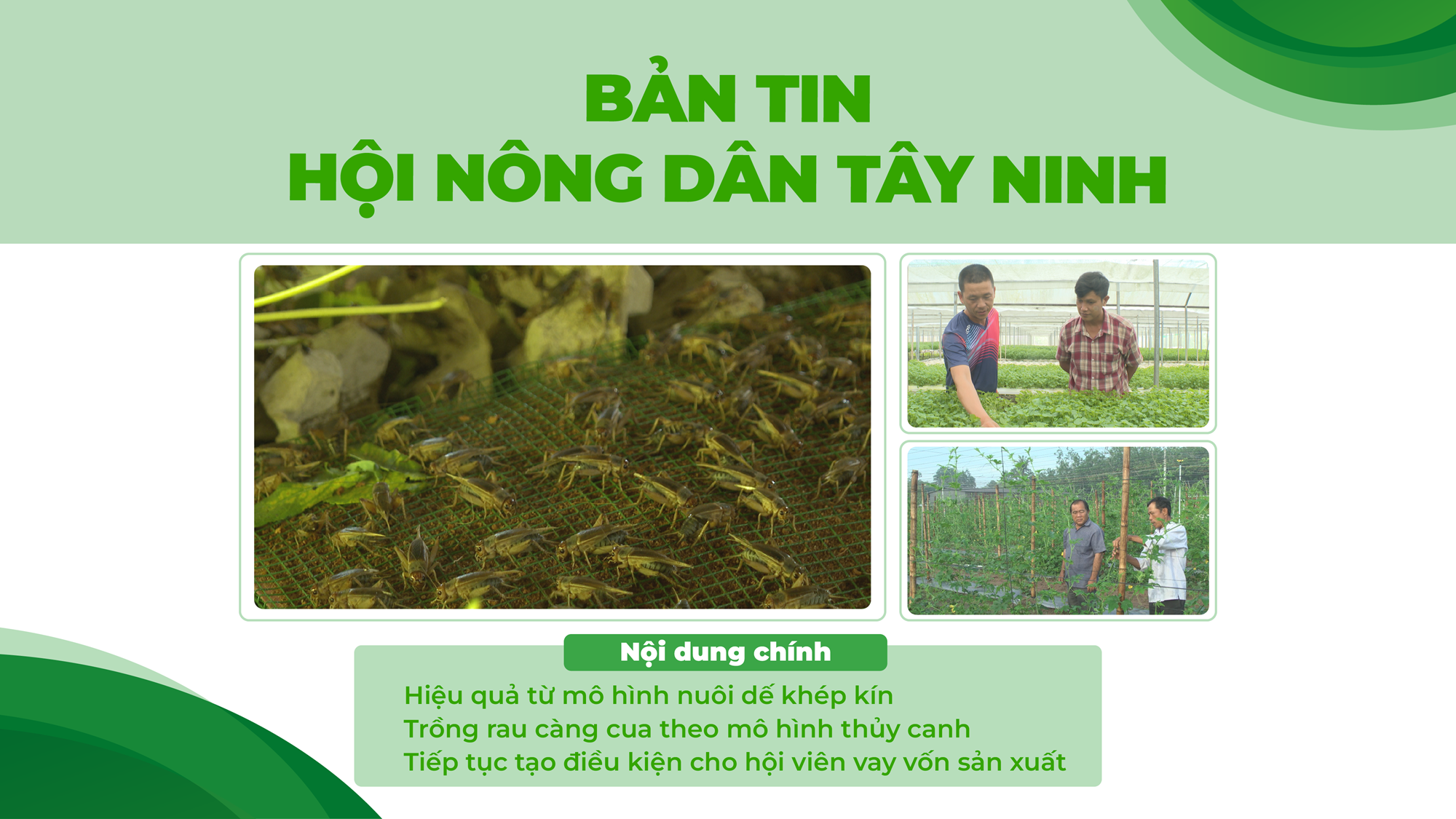 [Phụ đề tiếng Anh] Bản tin Hội Nông dân 09-6-2025 | Tin tức hôm nay