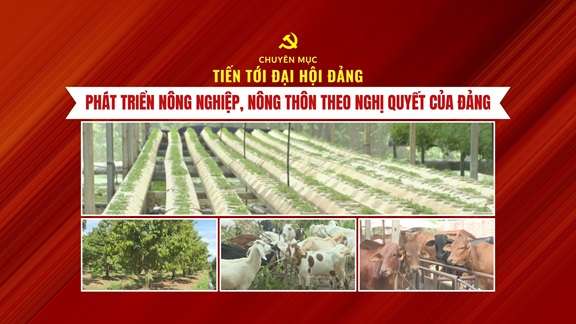 [Phụ đề tiếng Anh] Phát triển nông nghiệp, nông thôn theo Nghị quyết của Đảng
