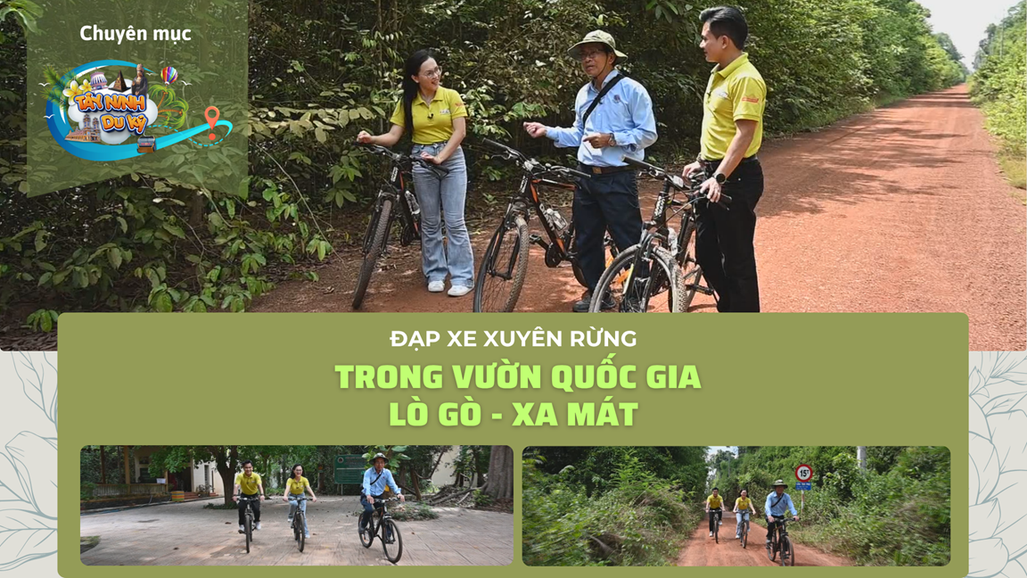 Đạp xe xuyên rừng trong vườn Quốc gia Lò Gò - Xa Mát | TÂY NINH DU KÝ