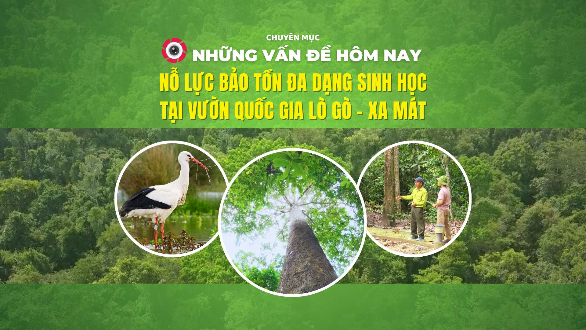 Nỗ lực bảo tồn đa dạng sinh học tại Vườn quốc gia Lò Gò – Xa Mát | NHỮNG VẤN ĐỀ HÔM NAY
