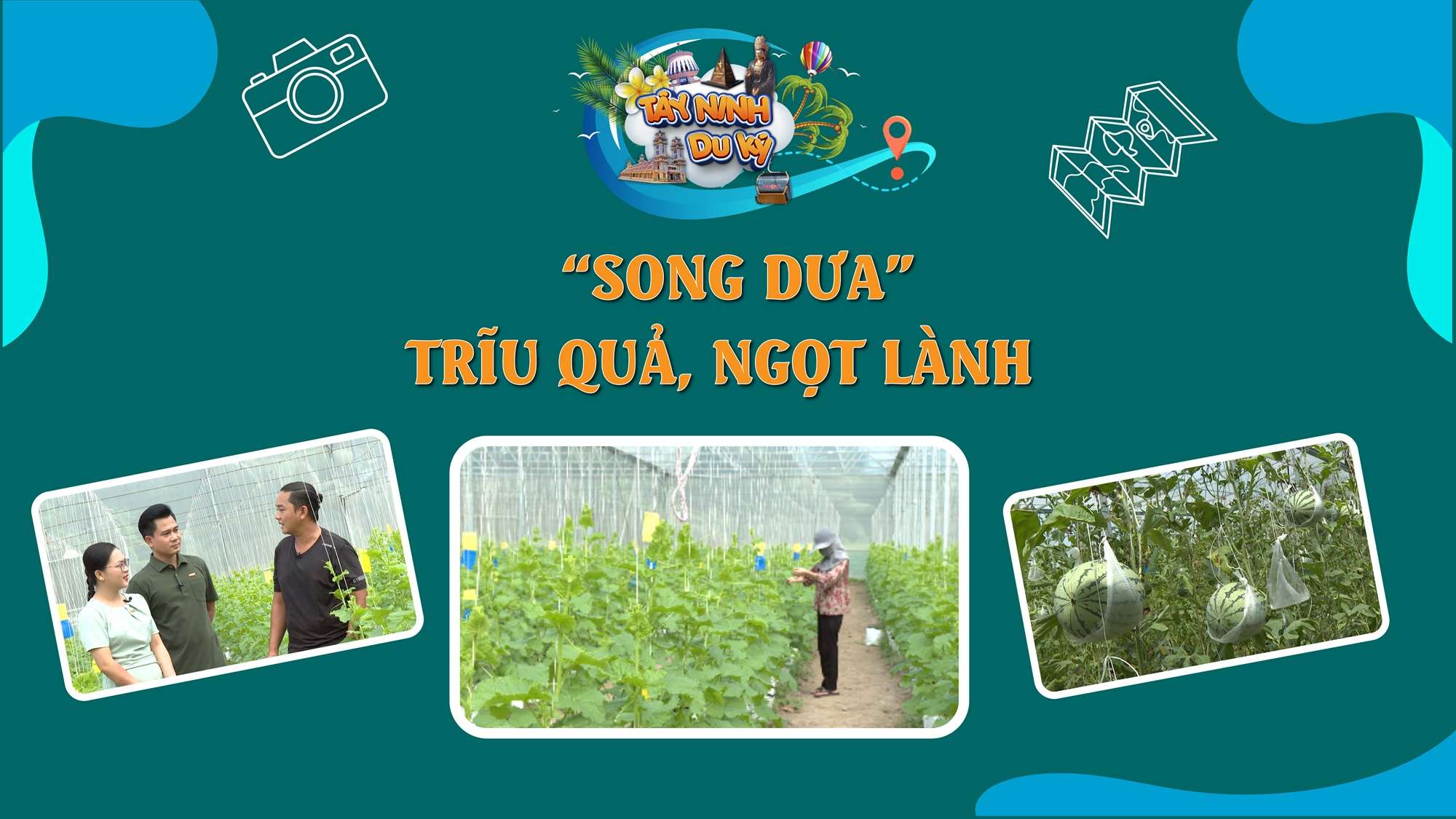 “Song Dưa” - Trĩu quả, ngọt lành | TÂY NINH DU KÝ