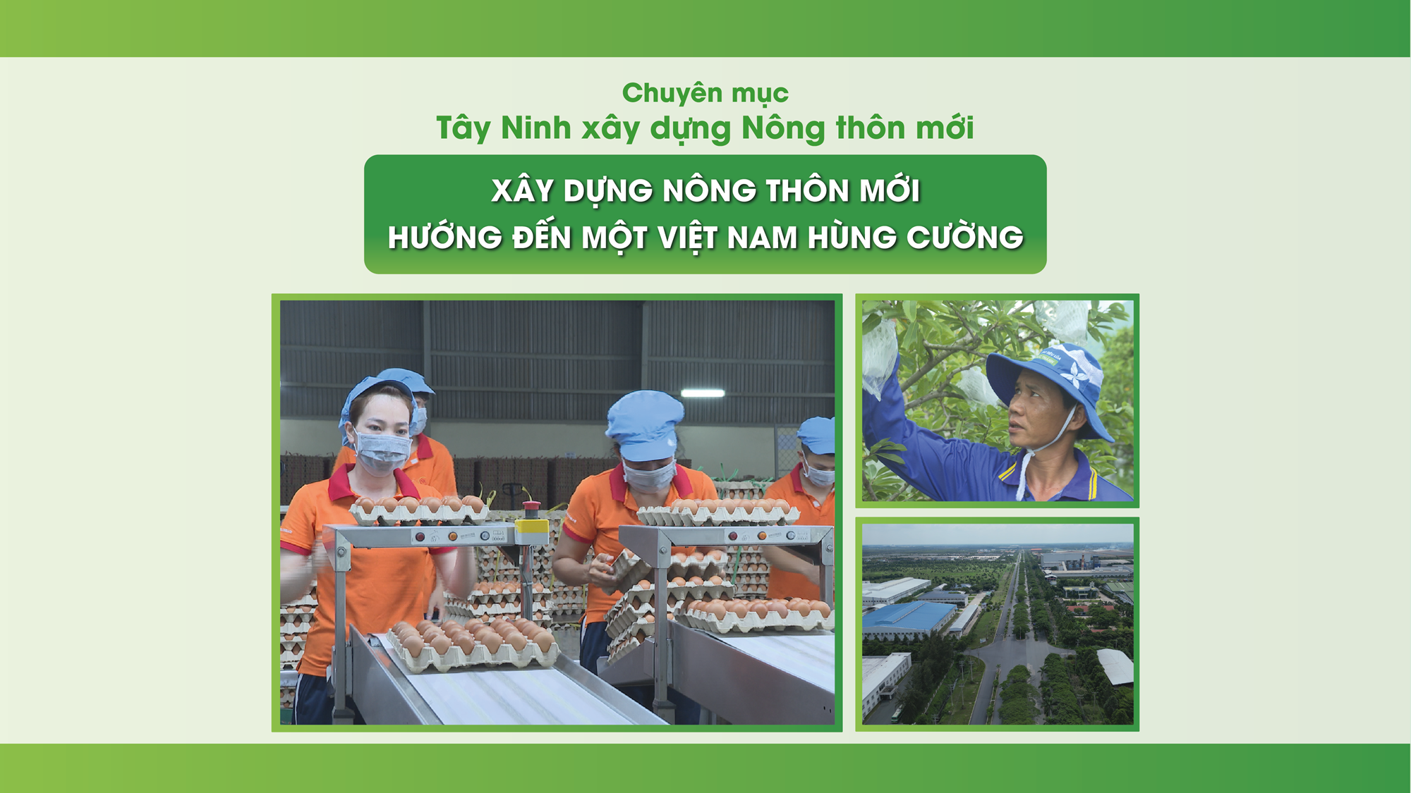 Xây dựng nông thôn mới hướng đến một Việt Nam hùng cường | TÂY NINH XÂY DỰNG NÔNG THÔN MỚI