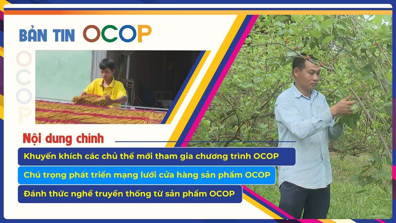 Bản tin OCOP 12-6-2025