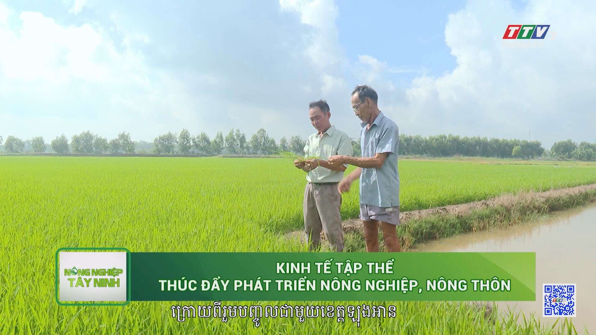 [Phụ đề khmer] Kinh tế tập tể thúc đẩy phát triển nông nghiệp, nông thôn