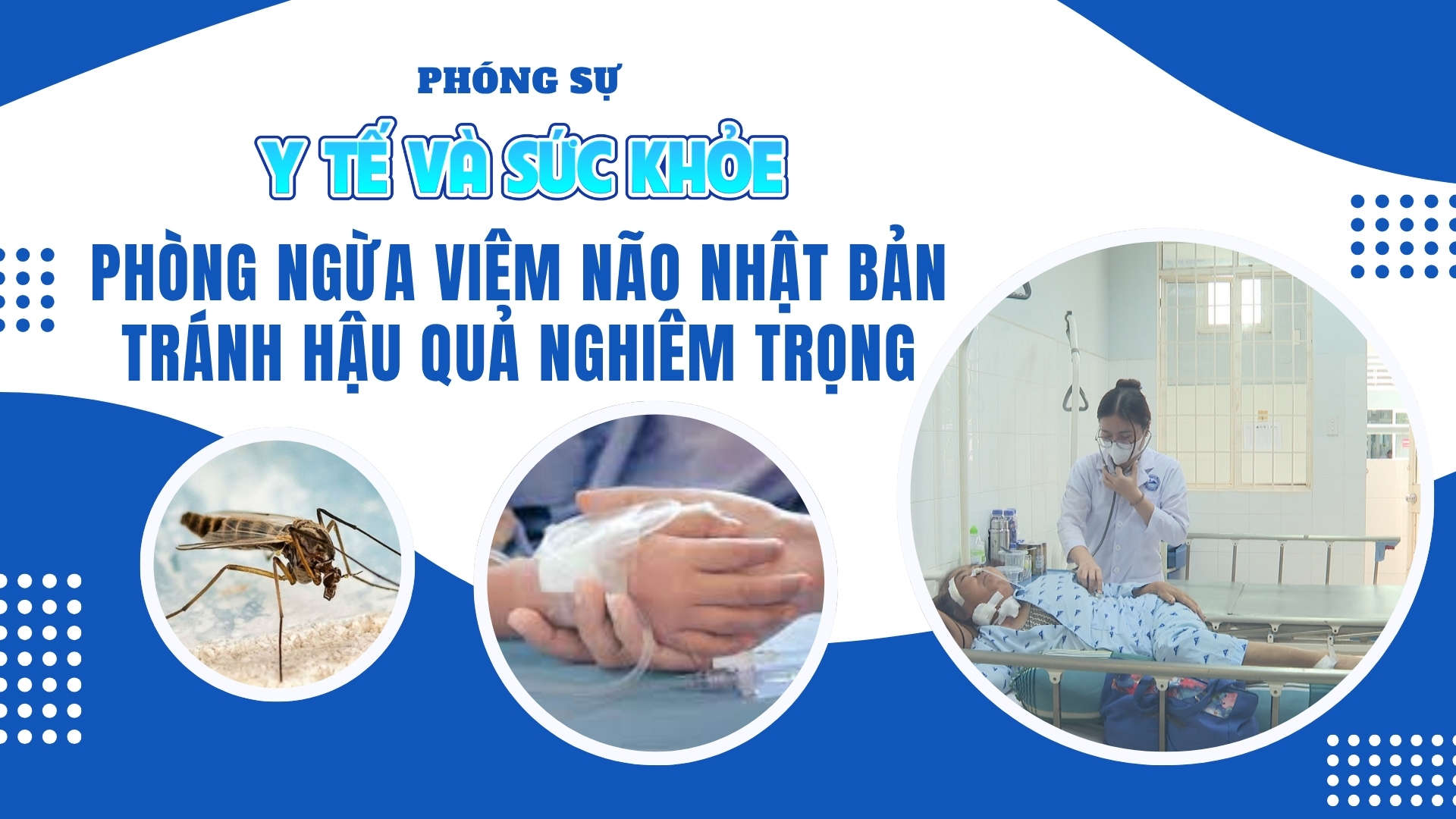 Phòng ngừa viêm não Nhật Bản, tránh hậu quả nghiêm trọng | PHÓNG SỰ