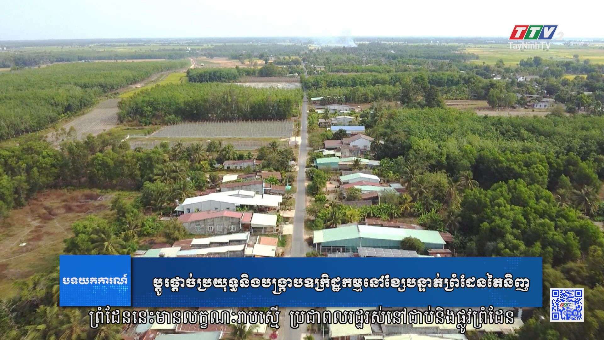 [Phụ đề Khmer] Quyết liệt đấu tranh, trấn áp tội phạm trên biên giới Tây Ninh